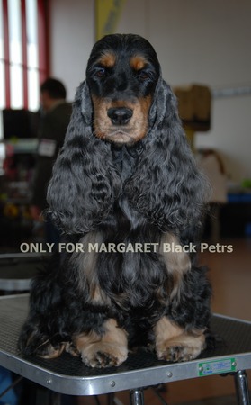 ONLY FOR MARGARET Black Petrs